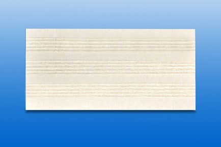 Sebzáró csík RUDASTRIP átlátszó, 100x13mm (6 db/fólia)