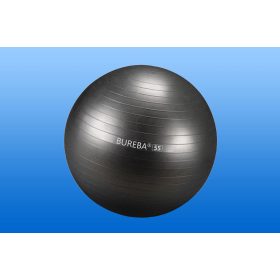 Gimnasztikai labda, 55cm, antracit